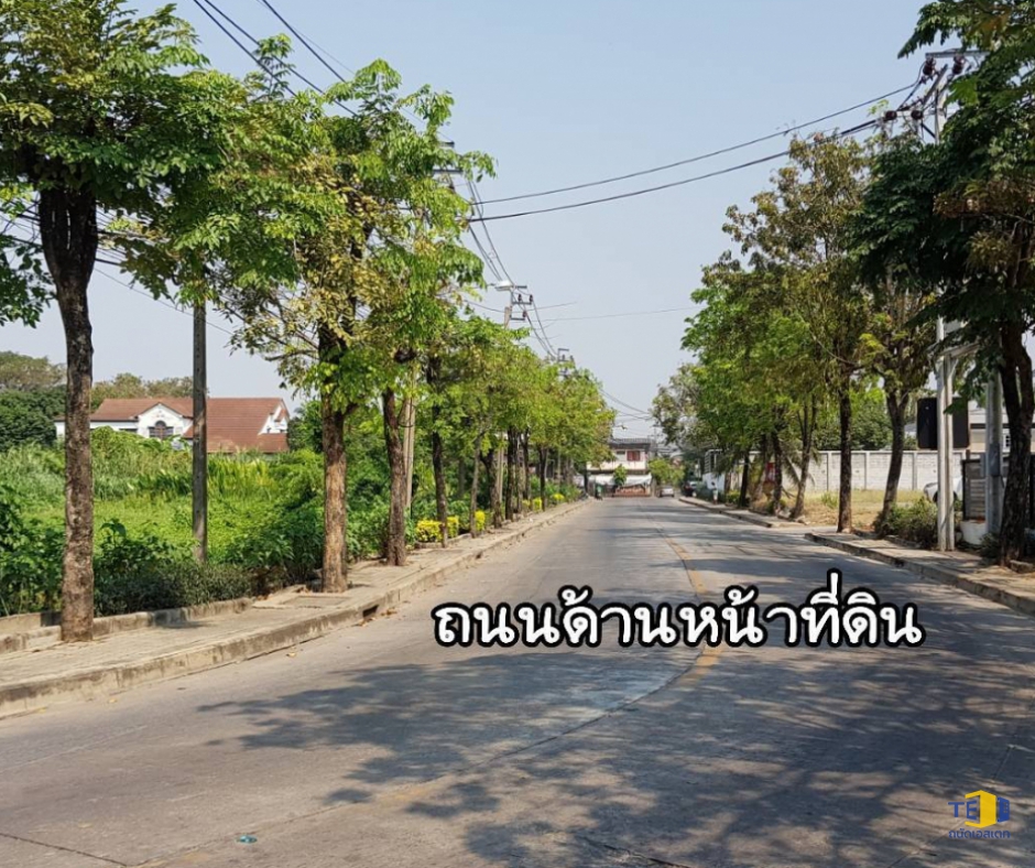 ขายที่ดิน ซอยพุทธมณฑล