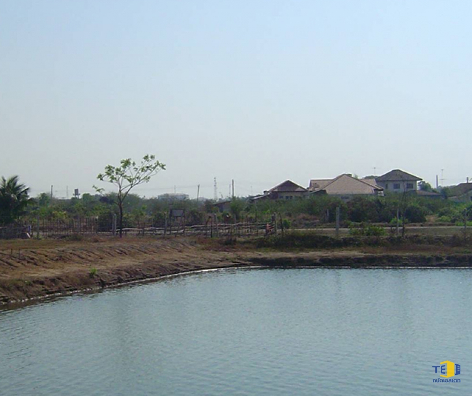 ขายที่ดินกำแพงแสน