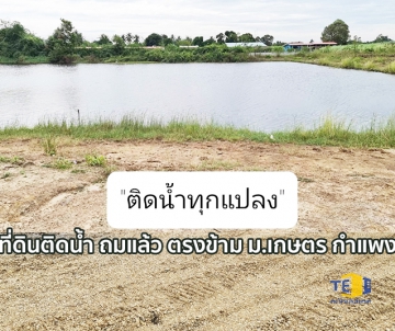 ขายที่ดินกำแพงแสน