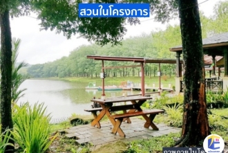 สระว่ายน้ำและบรรยากาศโครงการ The Park Adventure Land ระยอง