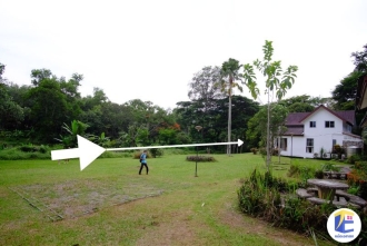 ที่ดินแปลงใหญ่ 1 ไร่ 2 งาน ระยอง เหมาะทำบ้านสวนวัยเกษียณ